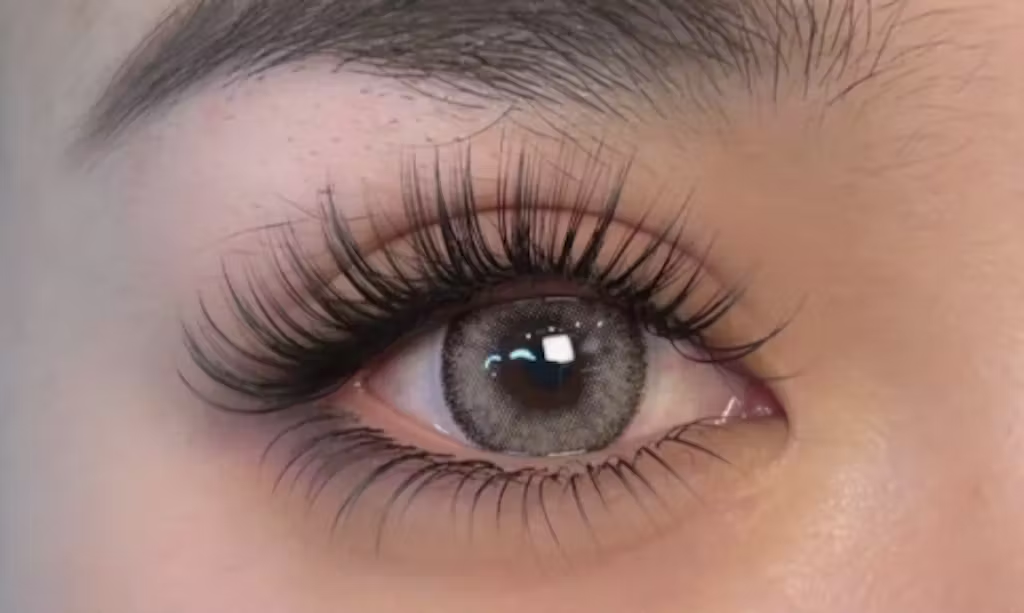 A Must-Read for Lash Artists: The Basics of Eyelashes (Part 1)