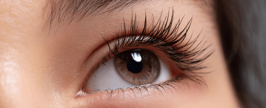 How to Maintain Lash Extensions When You’re Busy