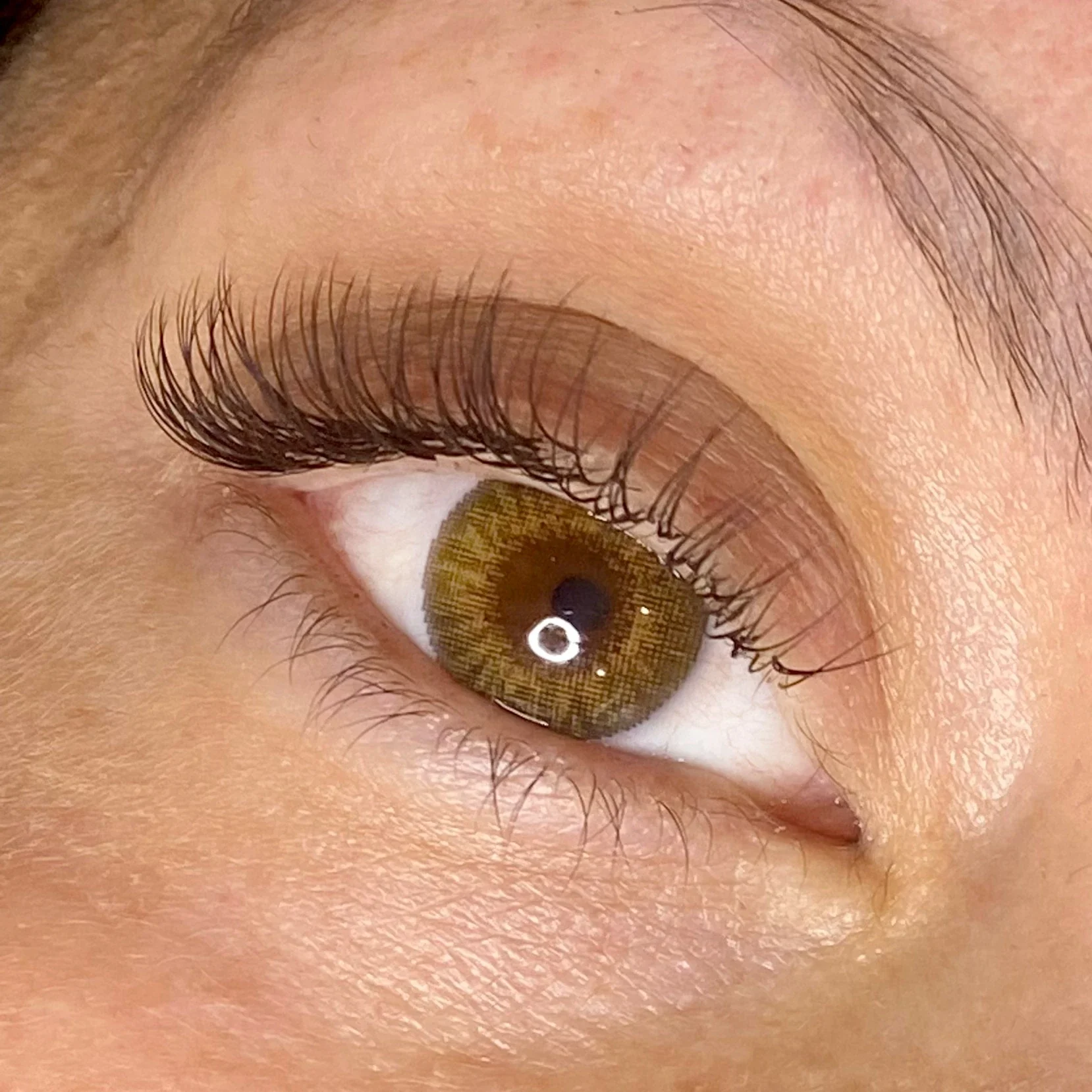 A Must-Read for Lash Artists: The Basics of Eyelashes (Part 2)