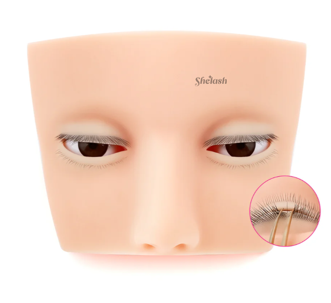 Simulation Eyelashes Practice Mannequin Head