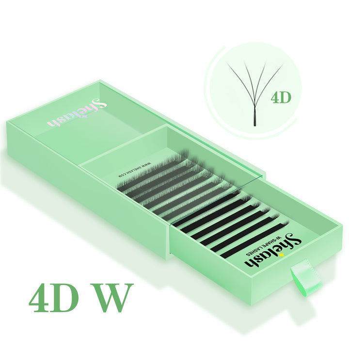 4D W Lashes