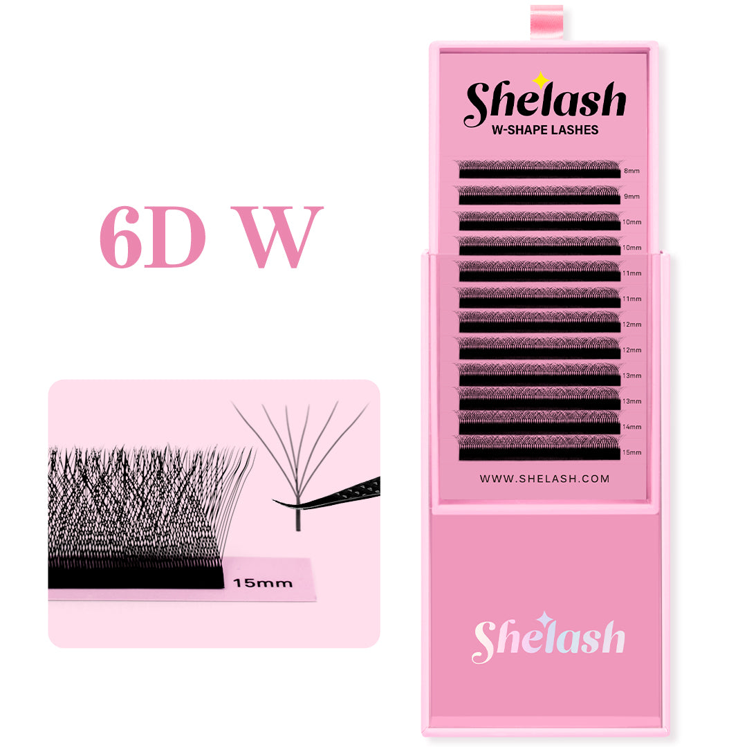 6D W Lashes