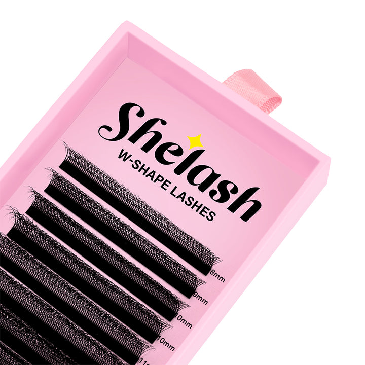 6D W Lashes