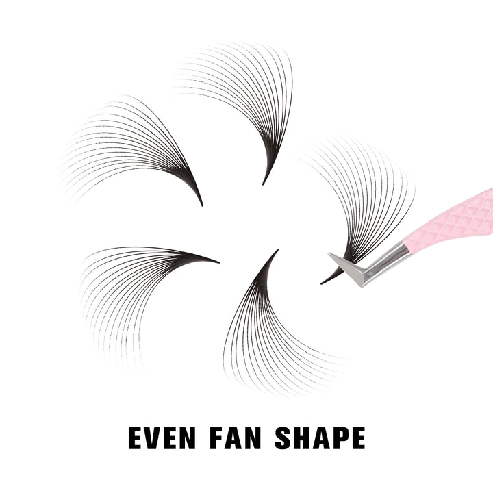 16D Pointy Base Promade Loose Fans - 500 Fans